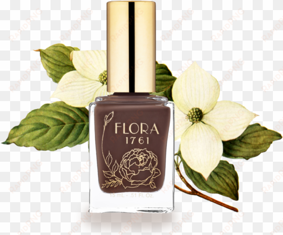 nail lacquer in dogwood - lacquer