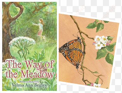 nature artwork - way of the meadow [book]