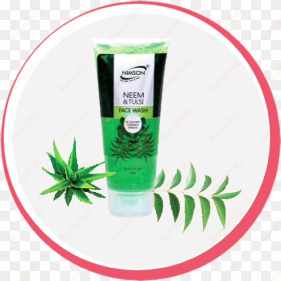 neem tulsi tea tree face wash 60ml - neem leaf