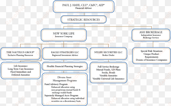 new york life - strategic alliance insurance carriers organization