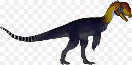 notice the lack of a frill and poison - isle dilophosaurus deviantart