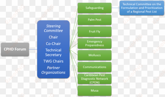 objectives and organisation - organization