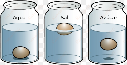 observa que el huevo se hunde - experimentos de los estados de la materia