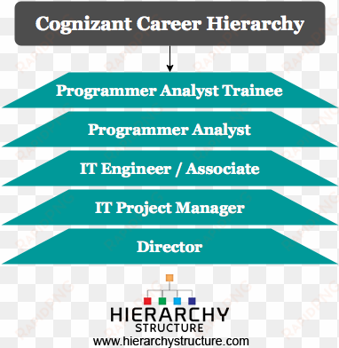 organisational structure of cognizant