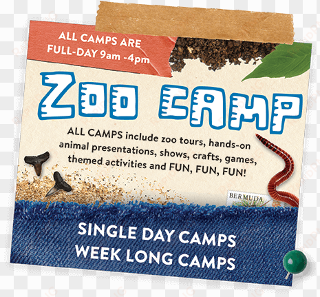 our qualified educators guide groups of no larger than - st. augustine alligator farm zoological park