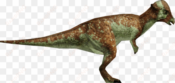pachycephalosaurus - jw - jurassic world pachycephalosaurus png