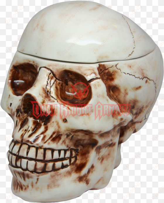 pacific trading skull cookie jar