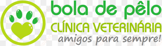 page title - hair ball - veterinary clinic