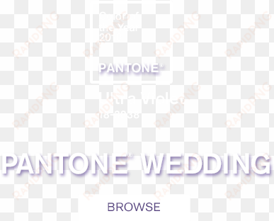 pantone color of the year - paper product