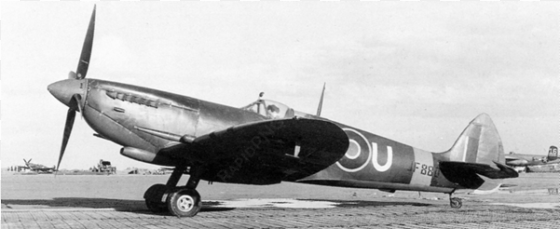 photo of spitfire mk viii - spitfire mk viii