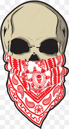 photo - skull with bandana drawing