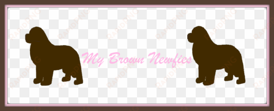 picnik collage 55 logo1 - newfie pawprints rectangle magnet