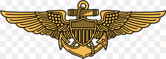 pilot wings - colored - golden eagle
