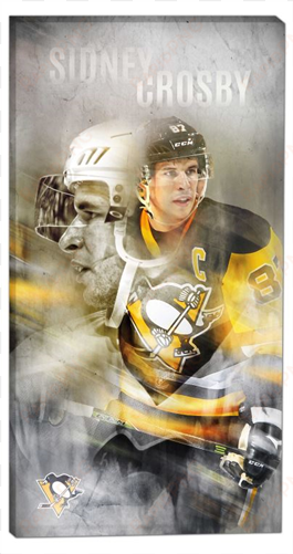 pittsburgh penguins sidney crosby frameworth 14x28