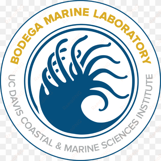 png, 2593 x 2594 px, 300 ppi bml logo - bodega marine lab logo