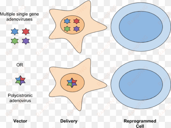 png royalty free delivery methods for generating - circle