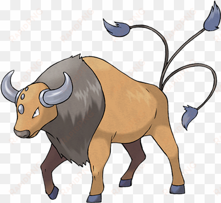 pokemon tauros