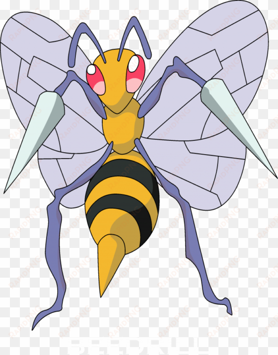 pokermon beedrill - pokemon 015
