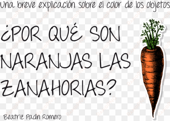 ¿por qué son naranjas las zanahorias - emergency food network