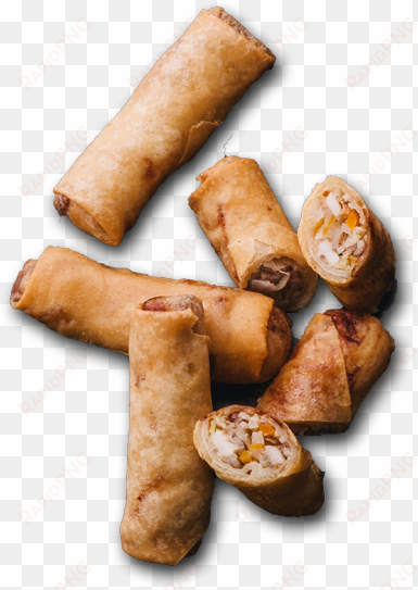 pork or veggie egg rolls - nem rán
