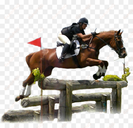 powered - transparent cross country horse
