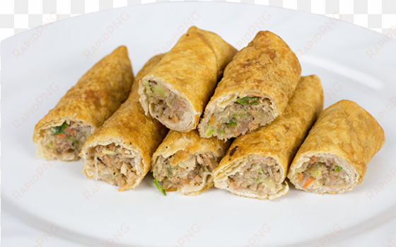 product information lobster - spring roll