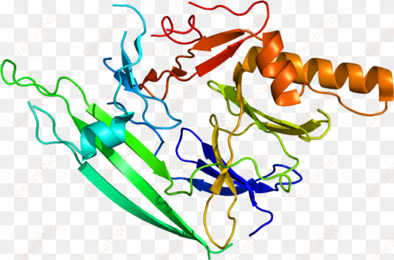 protein ern1 pdb 2hz6 - turtwig