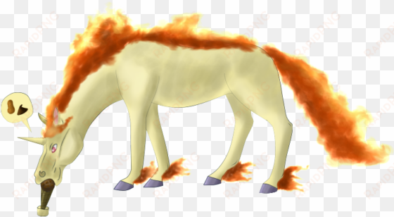 rapidash - mane