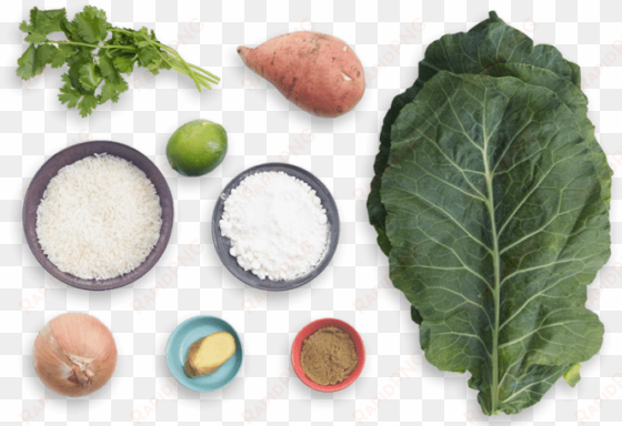 recipe thai green coconut curry with sweet potato jasmine - jasmine rice