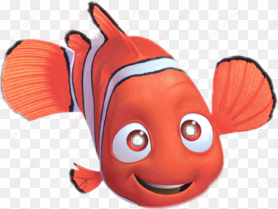 report abuse - finding nemo fish