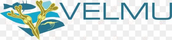 resources/images/velmu logo