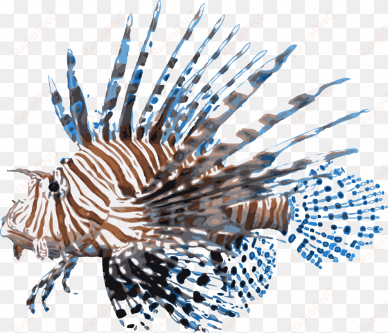 rykaczewski lionfish - red lionfish png