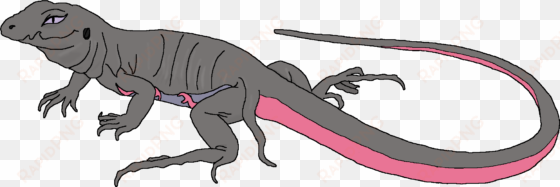 salazzle - portable network graphics