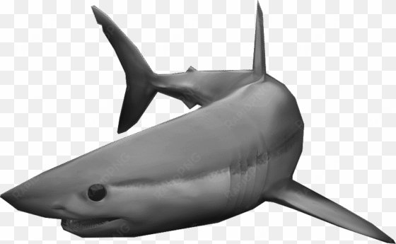 see why the shortfin mako captures our essence - killer whale