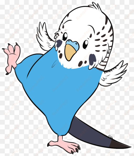 senpai budgie - gift