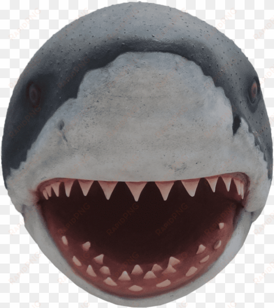 shark head great white fish statue - shark