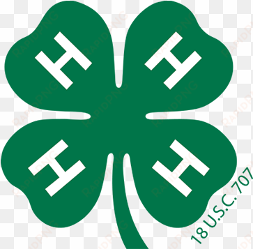 sign up for 4-h - 4 h clover