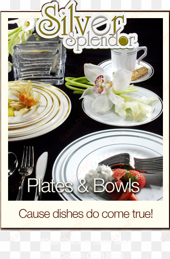 silver splendor disposable plates & bowls - 375 pieces plastic china plate silverware combo like