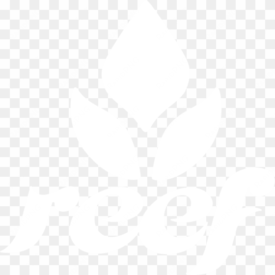 skullcandy logo transparent - reef logo girls