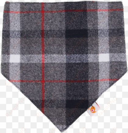 smart bottoms bandana bib - scarf