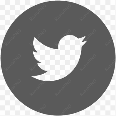 social media icons - twitter black circle icon