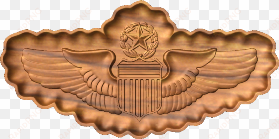 source - cncmilitaryemblems - com - report - pilot - military