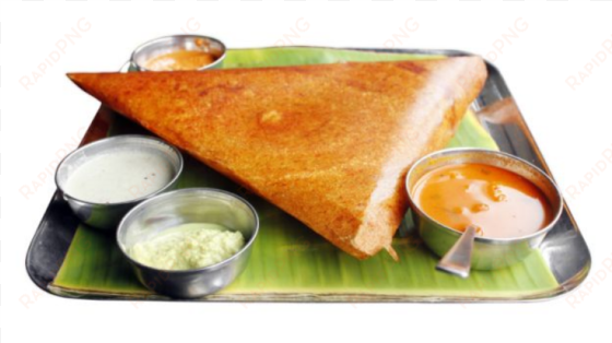 south corner special dosa - south food