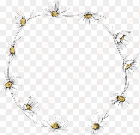 spiritual mystical nature here tumblr daisies transparent - i d rather wear flowers in my hair than diamonds around