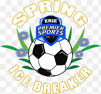 spring ice breaker - shirt