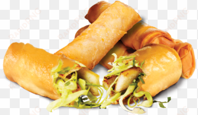 spring rolls with chicken - fast food
