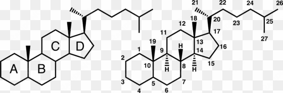 steroid numbering