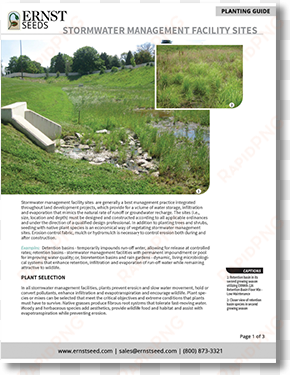 stormwater management printable planting guide - management