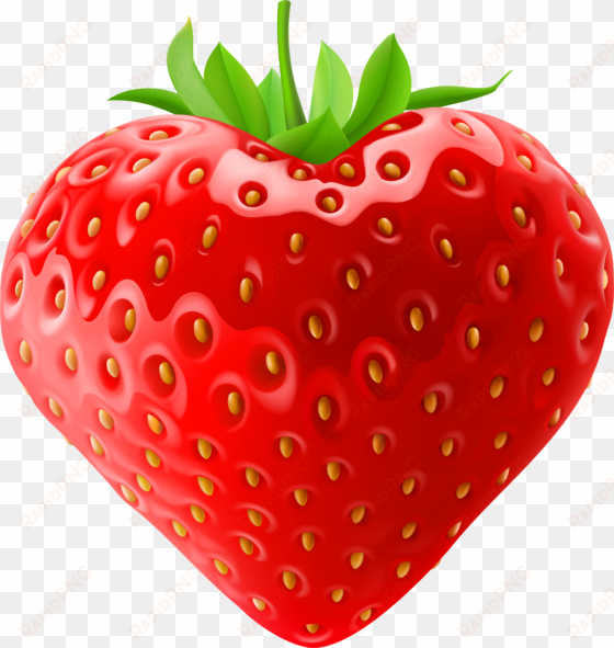 strawberry fruit clip art