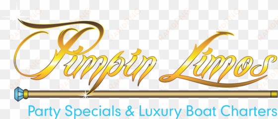 stretch hummer hire gold coast brisbane byron stretch - car wash